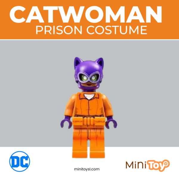 Catwoman Prison Costume